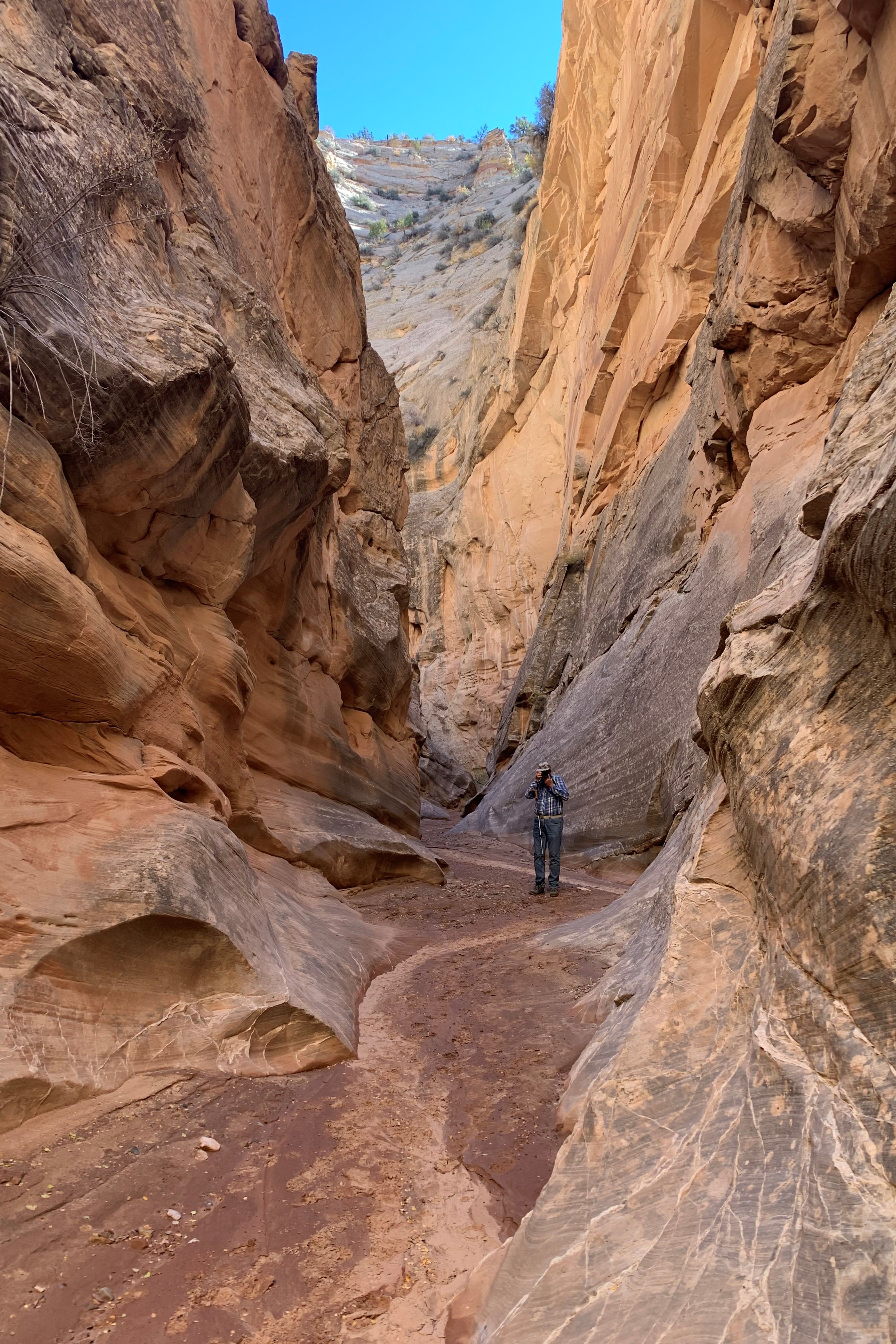 Escalante